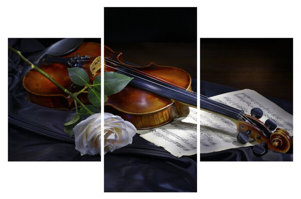 Kép - Rózsa és hegedű (90x60 cm)
