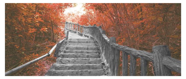 Kép - Lépcsők a természetben, narancssárga (120x50 cm)
