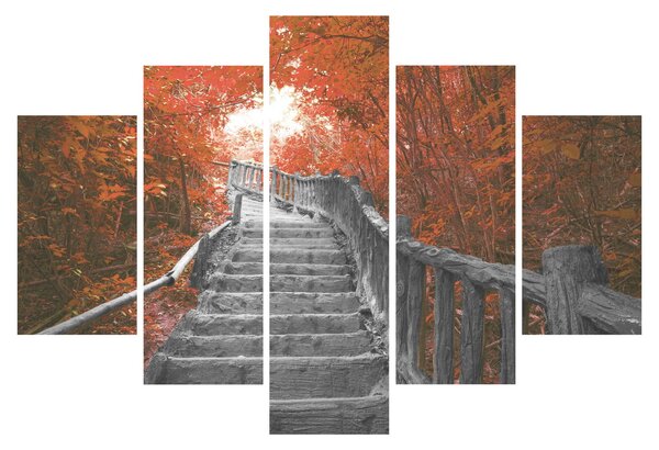 Kép - Lépcsők a természetben, narancssárga (150x105 cm)