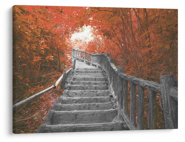 Kép - Lépcsők a természetben, narancssárga (70x50 cm)