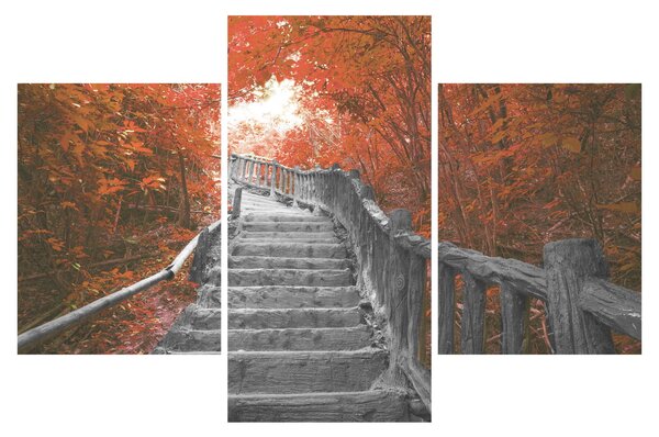 Kép - Lépcsők a természetben, narancssárga (90x60 cm)