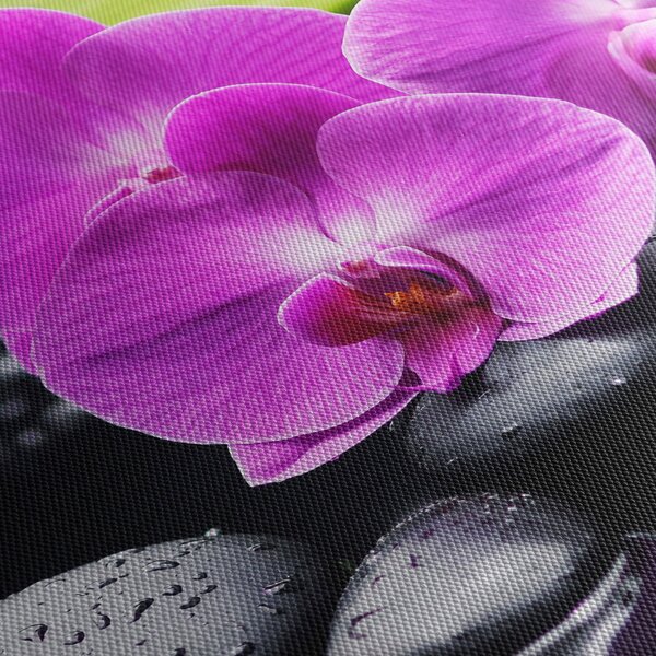 Kép - Orchideák (90x60 cm)