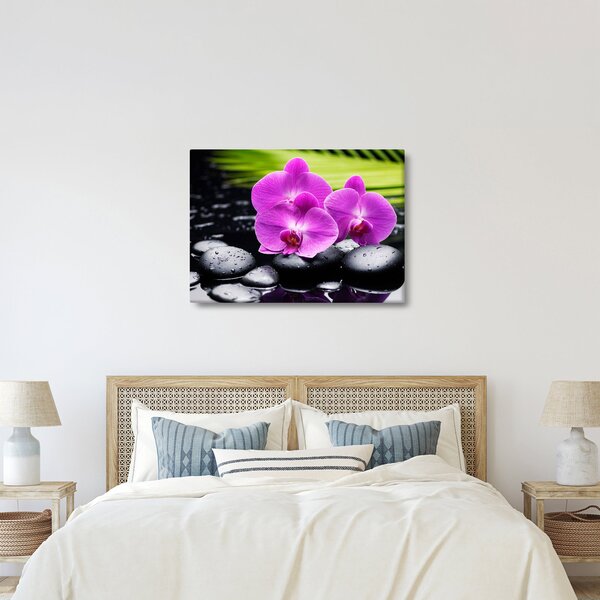 Kép - Orchideák (70x50 cm)