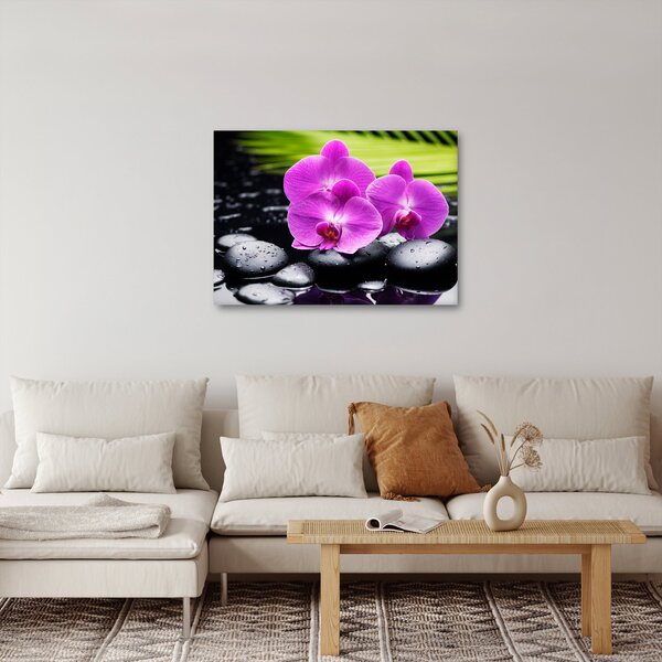 Kép - Orchideák (70x50 cm)
