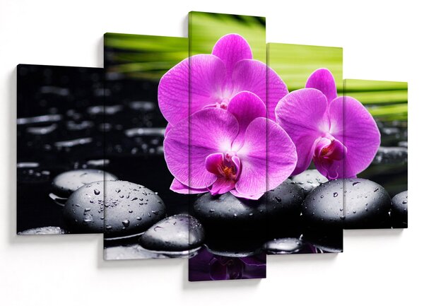 Kép - Orchideák (150x105 cm)