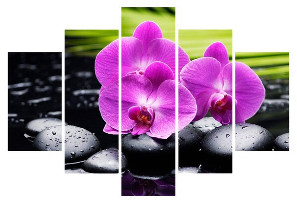 Kép - Orchideák (150x105 cm)