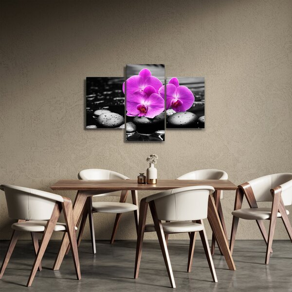 Kép - Lila orchideák (90x60 cm)