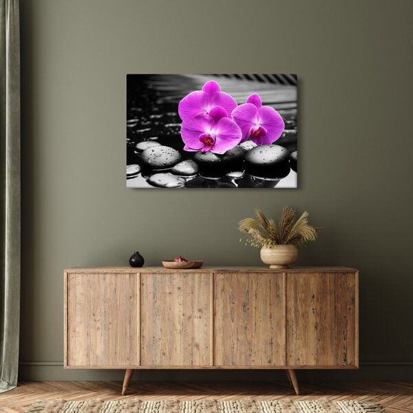 Kép - Lila orchideák (90x60 cm)