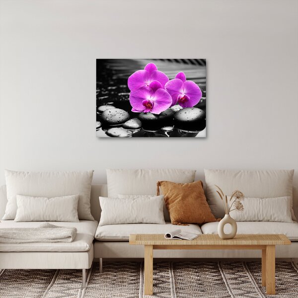 Kép - Lila orchideák (70x50 cm)
