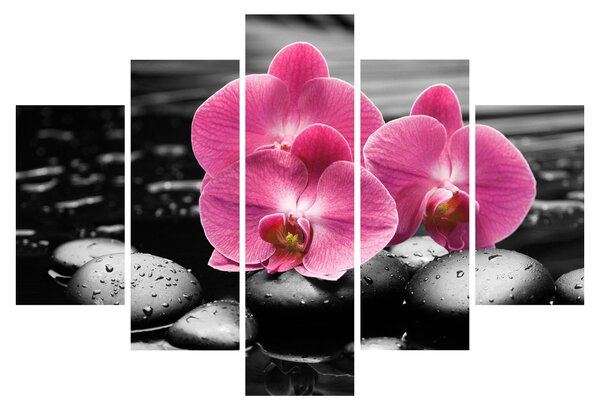 Kép - Rózsaszín orchideák (150x105 cm)