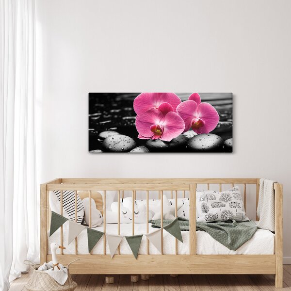 Kép - Rózsaszín orchideák (120x50 cm)