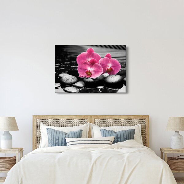 Kép - Rózsaszín orchideák (90x60 cm)