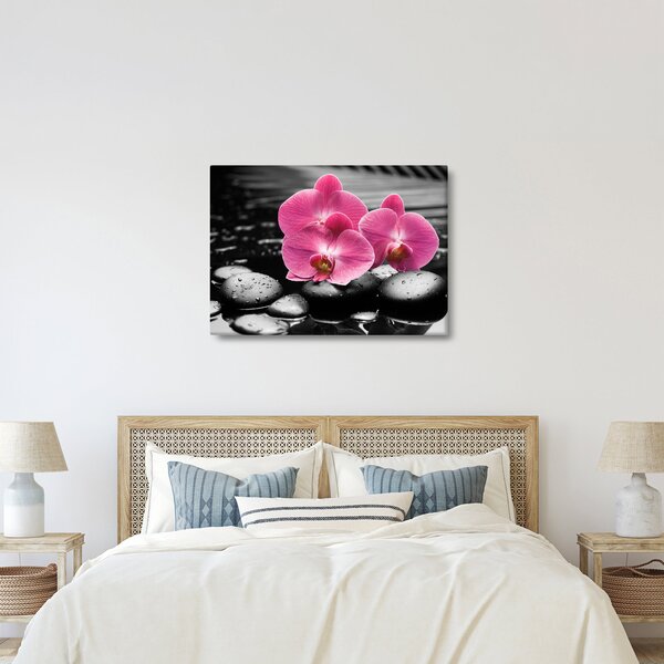 Kép - Rózsaszín orchideák (70x50 cm)