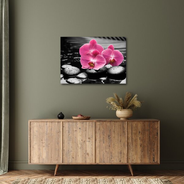 Kép - Rózsaszín orchideák (70x50 cm)