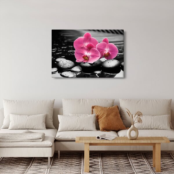 Kép - Rózsaszín orchideák (90x60 cm)