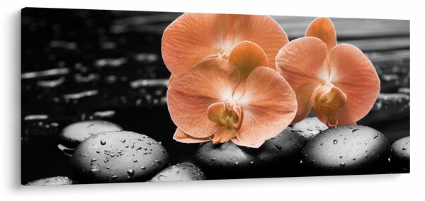 Kép - Narancssárga orchideák (120x50 cm)