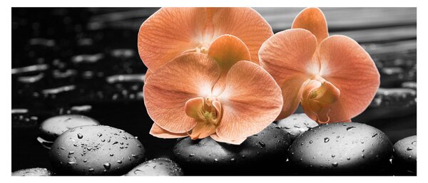 Kép - Narancssárga orchideák (120x50 cm)