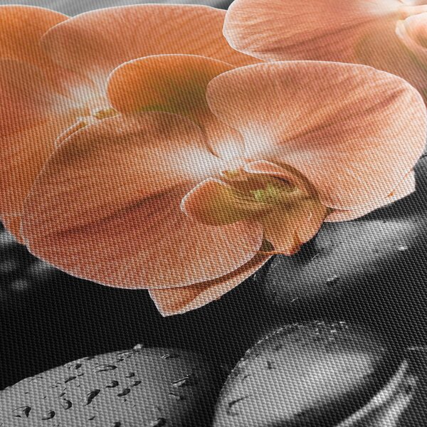 Kép - Narancssárga orchideák (90x60 cm)