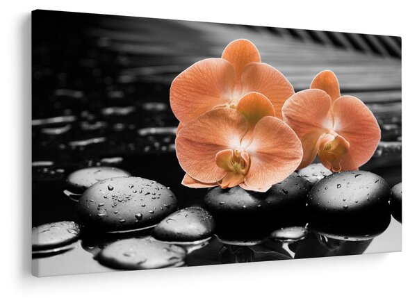 Kép - Narancssárga orchideák (90x60 cm)
