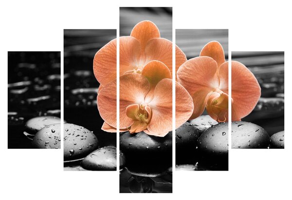 Kép - Narancssárga orchideák (150x105 cm)