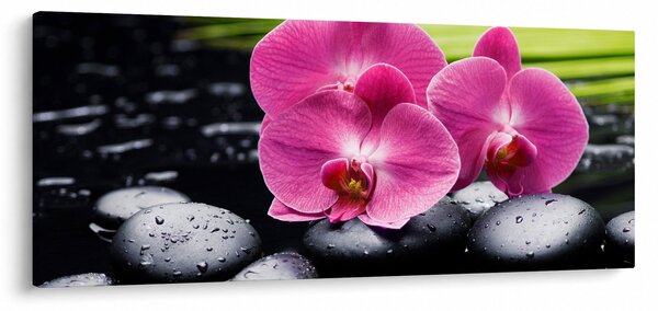 Kép - Rózsaszín orchidea pálmalevéllel (120x50 cm)