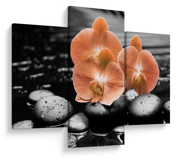 Kép - Narancssárga orchideák (90x60 cm)