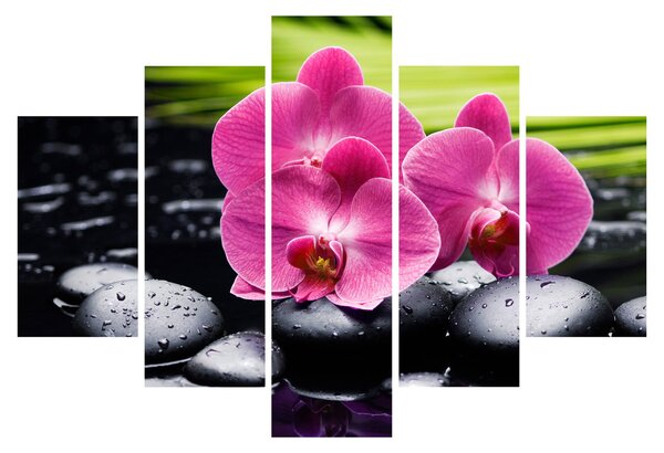 Kép - Rózsaszín orchidea pálmalevéllel (150x105 cm)