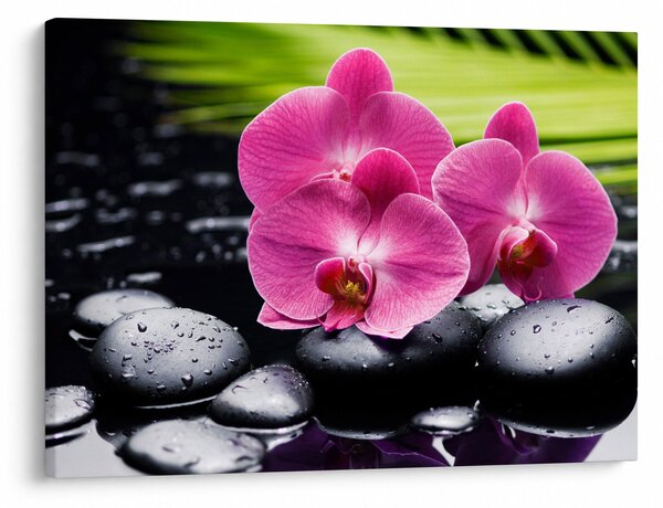 Kép - Rózsaszín orchidea pálmalevéllel (70x50 cm)