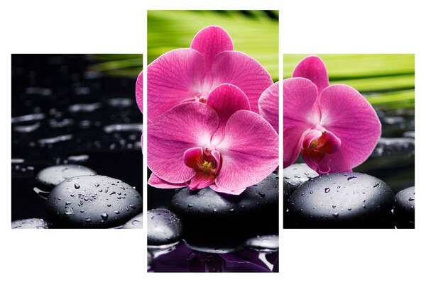 Kép - Rózsaszín orchidea pálmalevéllel (90x60 cm)