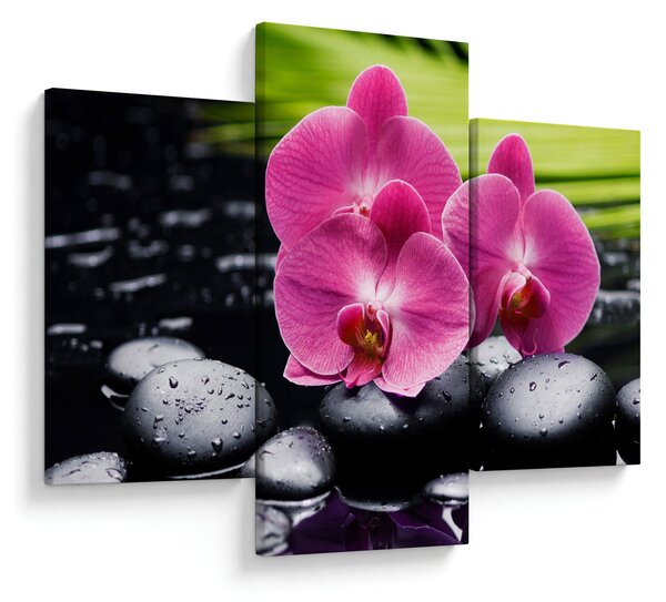Kép - Rózsaszín orchidea pálmalevéllel (90x60 cm)