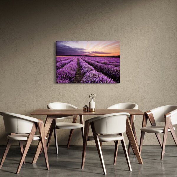 Kép - Levendulamező naplementében (90x60 cm)