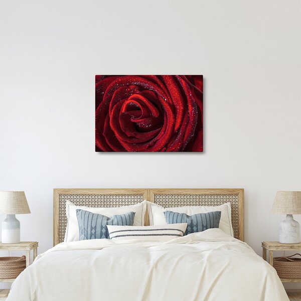 Kép - Vörös rózsa harmatcseppekkel (70x50 cm)