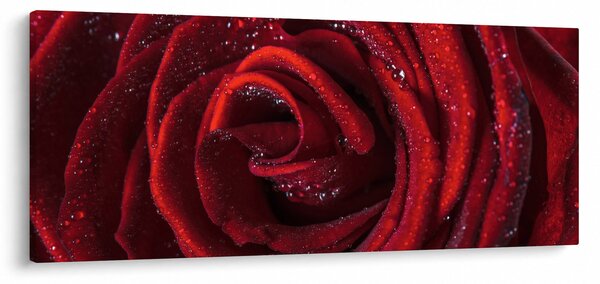 Kép - Vörös rózsa harmatcseppekkel (120x50 cm)