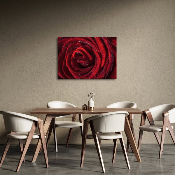 Kép - Vörös rózsa harmatcseppekkel (70x50 cm)