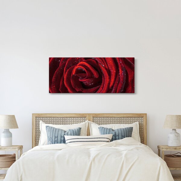 Kép - Vörös rózsa harmatcseppekkel (120x50 cm)