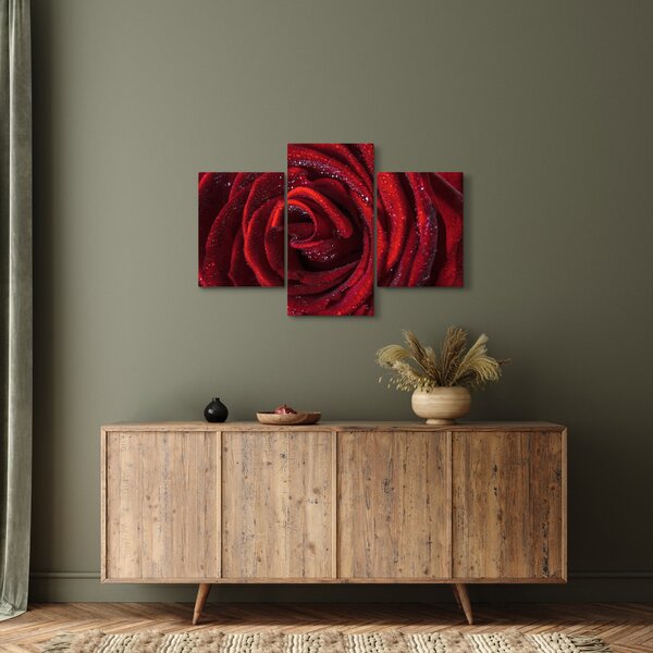 Kép - Vörös rózsa harmatcseppekkel (90x60 cm)