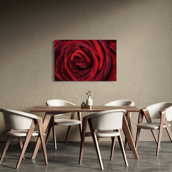 Kép - Vörös rózsa harmatcseppekkel (90x60 cm)