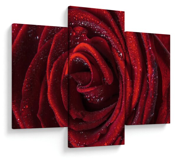 Kép - Vörös rózsa harmatcseppekkel (90x60 cm)