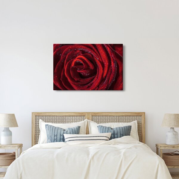 Kép - Vörös rózsa harmatcseppekkel (90x60 cm)
