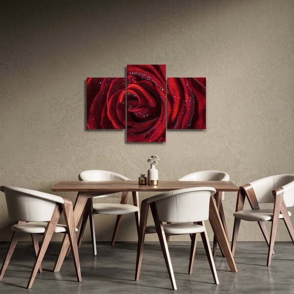 Kép - Vörös rózsa harmatcseppekkel (90x60 cm)