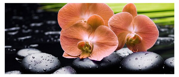 Kép - Narancssárga orchidea pálmalevelekkel (120x50 cm)