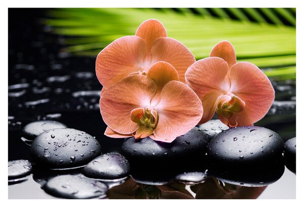 Kép - Narancssárga orchidea pálmalevelekkel (90x60 cm)