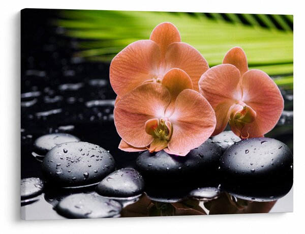 Kép - Narancssárga orchidea pálmalevelekkel (70x50 cm)