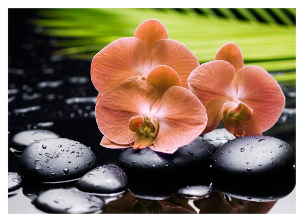 Kép - Narancssárga orchidea pálmalevelekkel (70x50 cm)