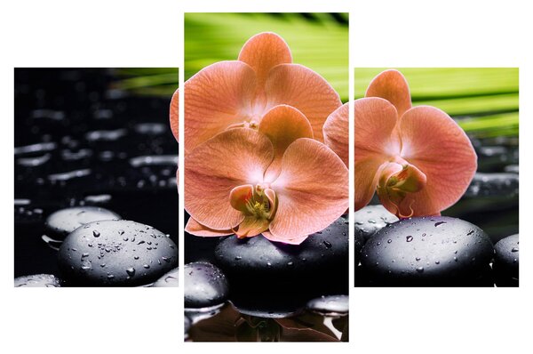 Kép - Narancssárga orchidea pálmalevelekkel (90x60 cm)