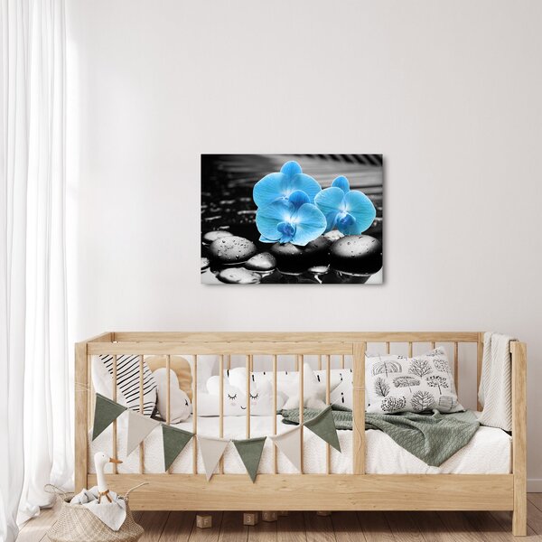 Kép - Kék orchidea (70x50 cm)