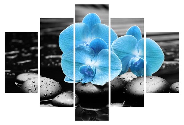 Kép - Kék orchidea (150x105 cm)