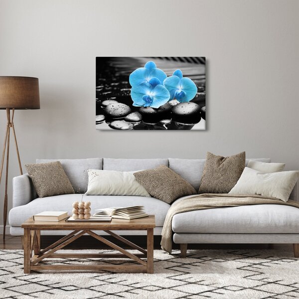 Kép - Kék orchidea (90x60 cm)