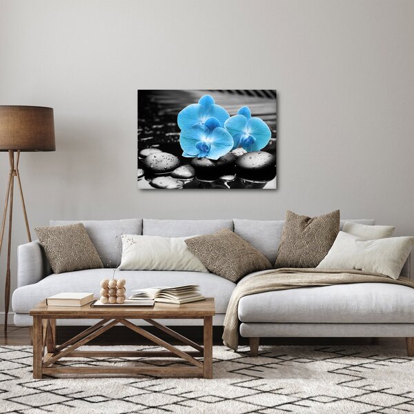 Kép - Kék orchidea (70x50 cm)