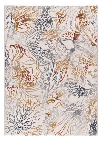Szőnyeg 80x150 cm Amara – Universal